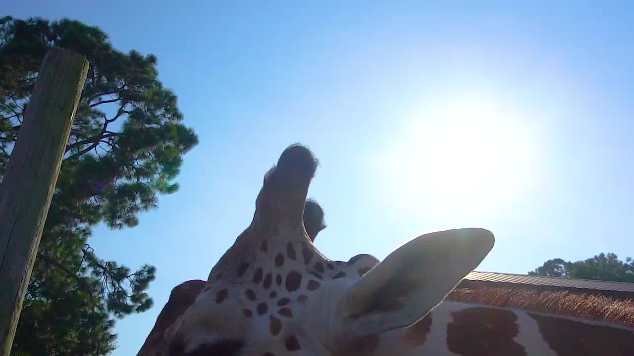 Zoo World zoo in Panama City Beach, Florida